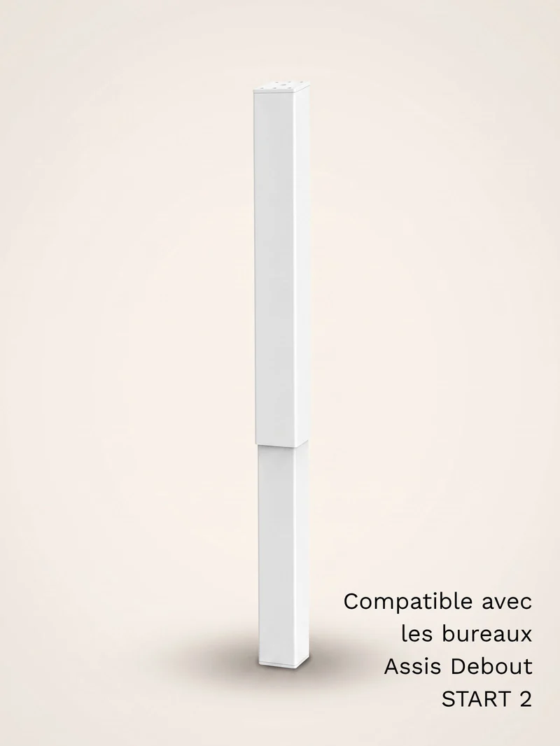 Colonne motorisée universelle pour bureau Assis Debout électrique