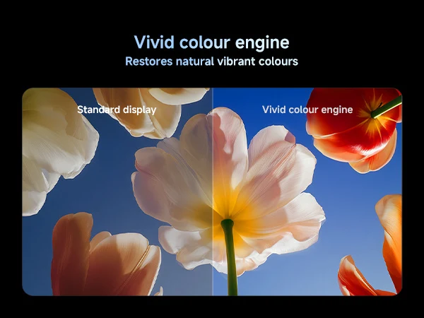 Xiaomi TV S Mini LED 98 Inch 2026