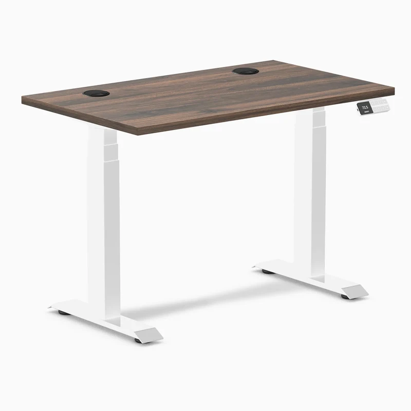 Desky Dual Mini Sit Stand Desk