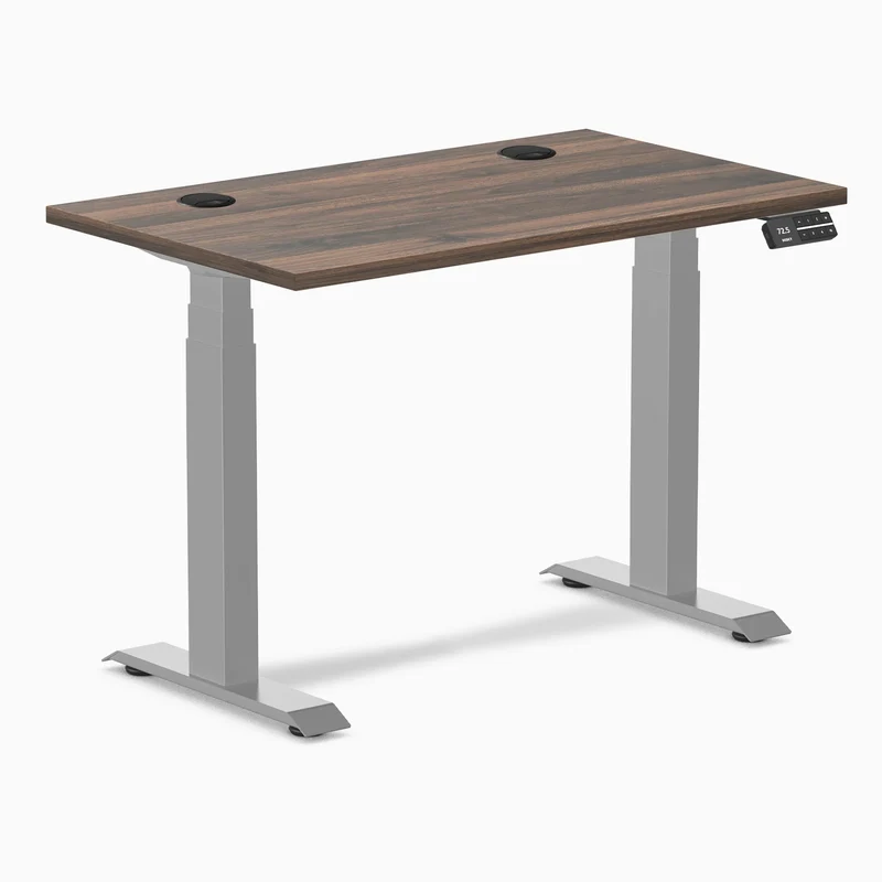 Desky Dual Mini Sit Stand Desk