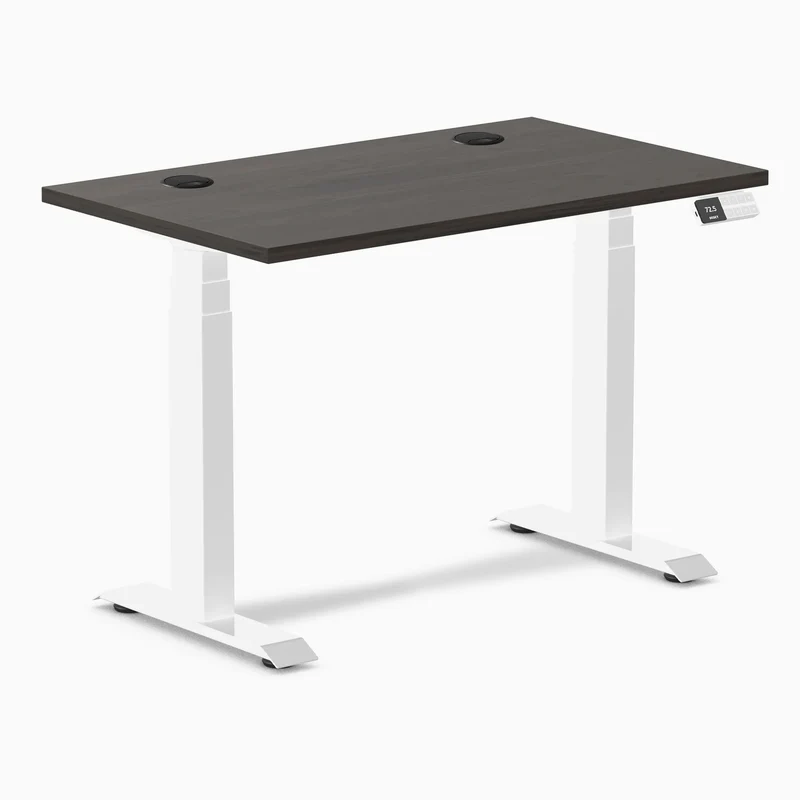 Desky Dual Mini Sit Stand Desk