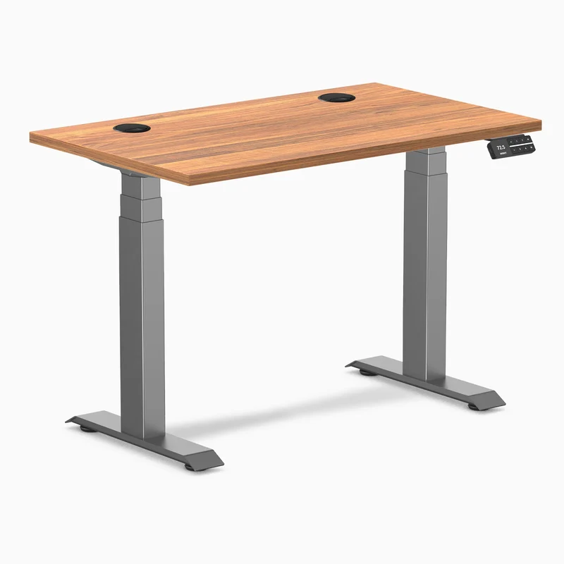 Desky Dual Mini Sit Stand Desk