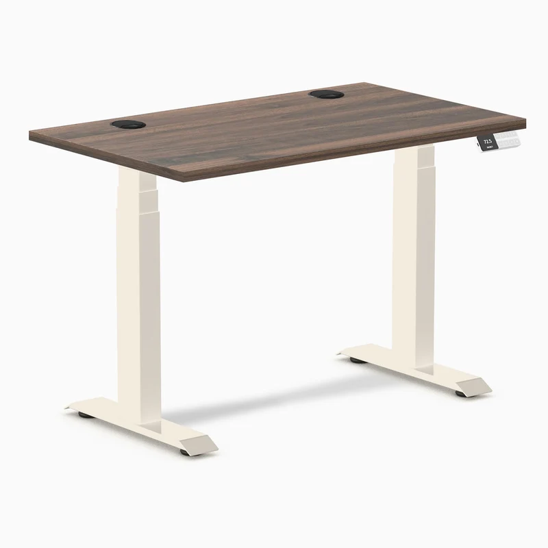Desky Dual Mini Sit Stand Desk