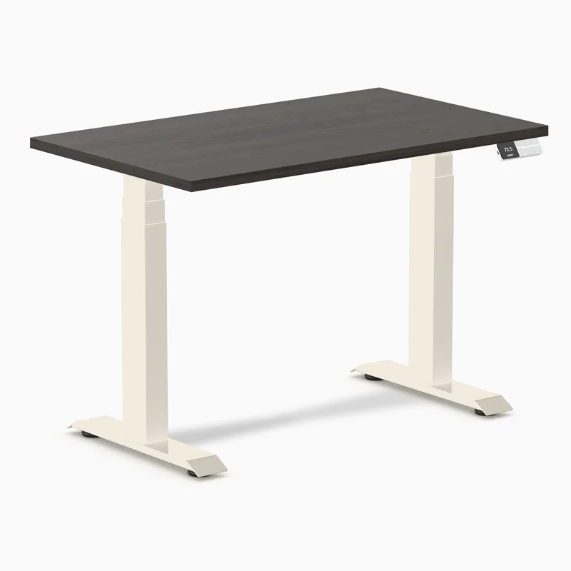 Desky Dual Mini Sit Stand Desk