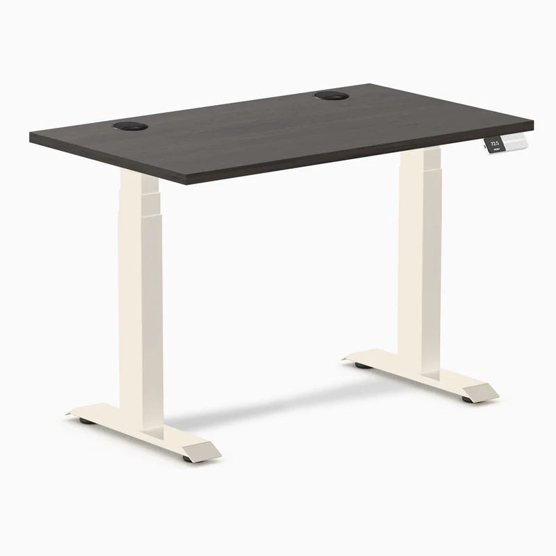 Desky Dual Mini Sit Stand Desk