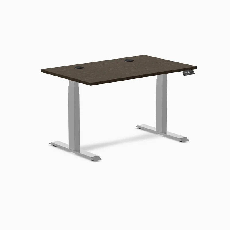 Desky Dual Bamboo Sit Stand Desk