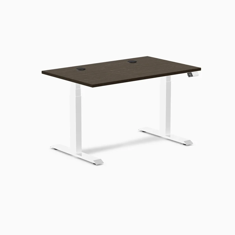 Desky Dual Bamboo Sit Stand Desk