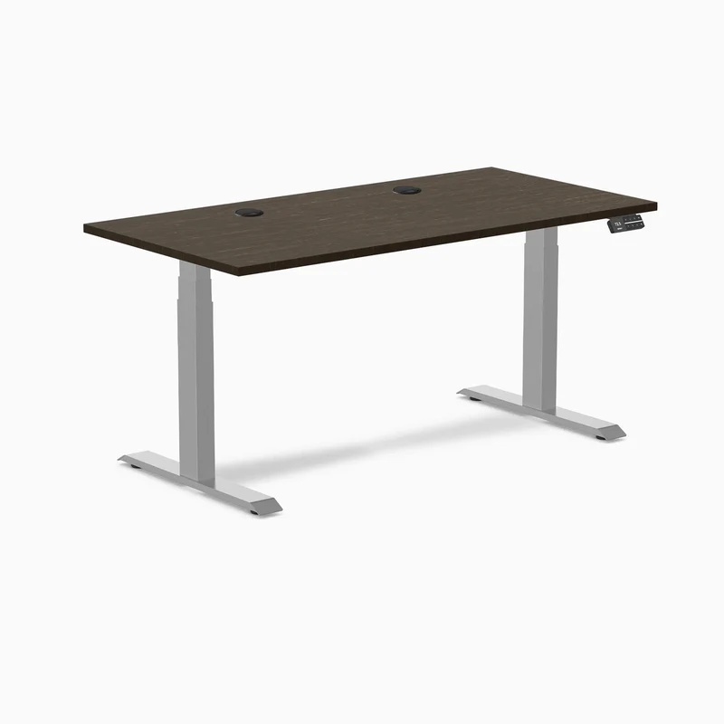 Desky Dual Bamboo Sit Stand Desk