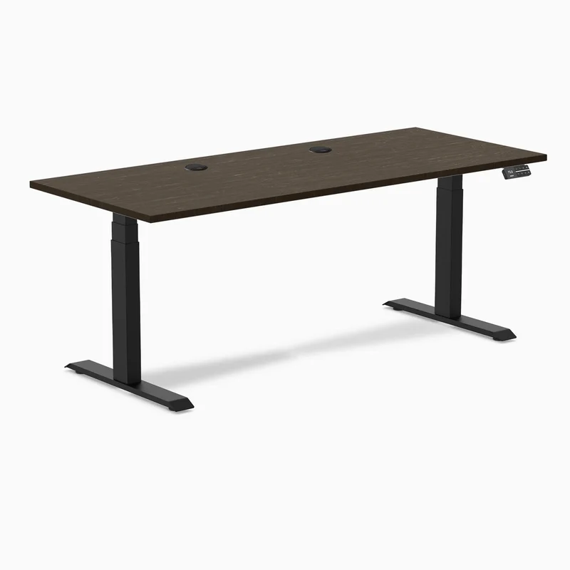 Desky Dual Bamboo Sit Stand Desk