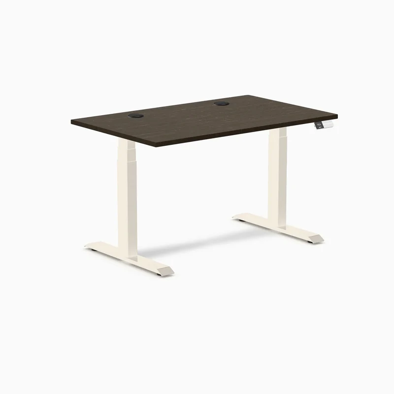Desky Dual Bamboo Sit Stand Desk