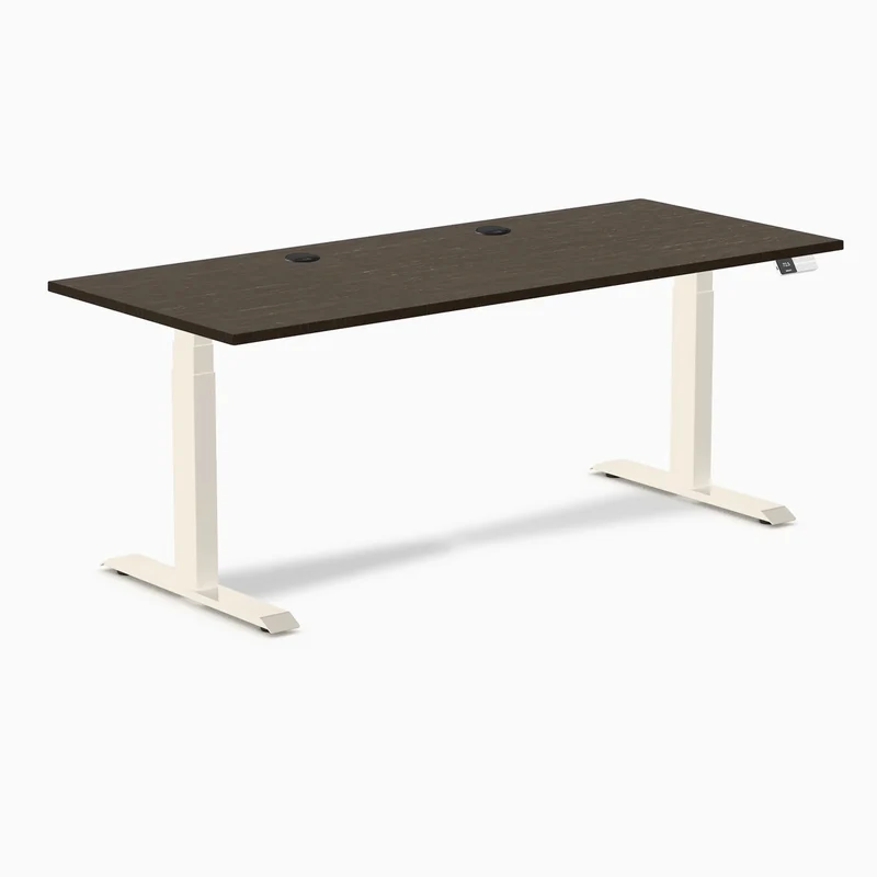 Desky Dual Bamboo Sit Stand Desk