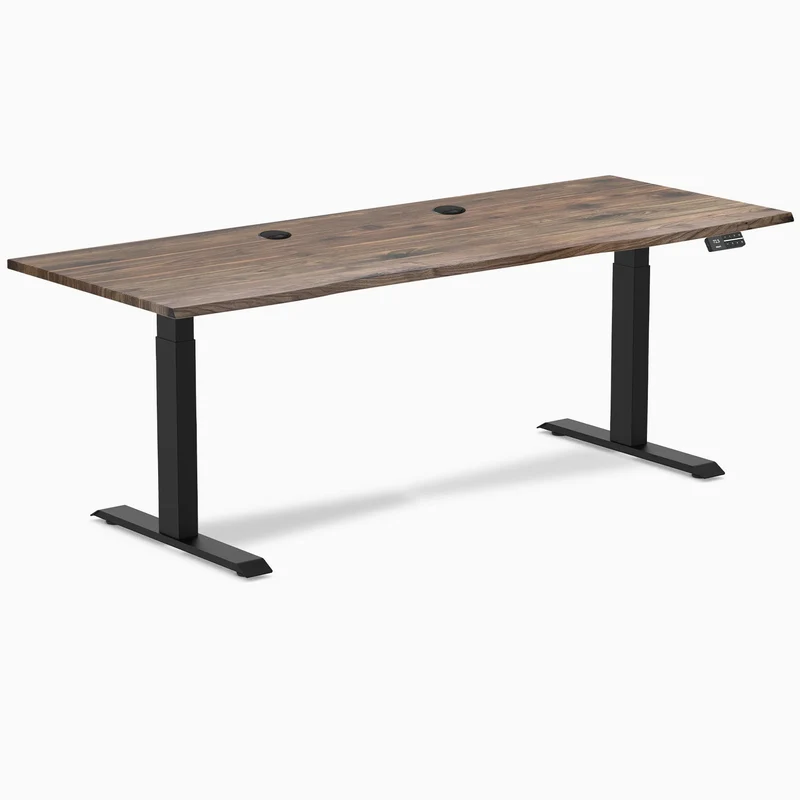 Desky Dual Laminate Sit Stand Desk