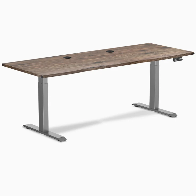 Desky Dual Laminate Sit Stand Desk