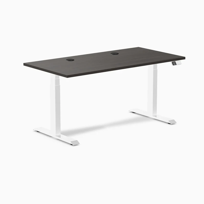 Desky Dual Laminate Sit Stand Desk