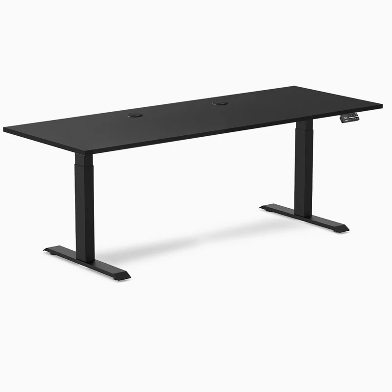 Desky Dual Laminate Sit Stand Desk
