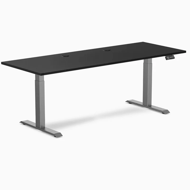 Desky Dual Laminate Sit Stand Desk