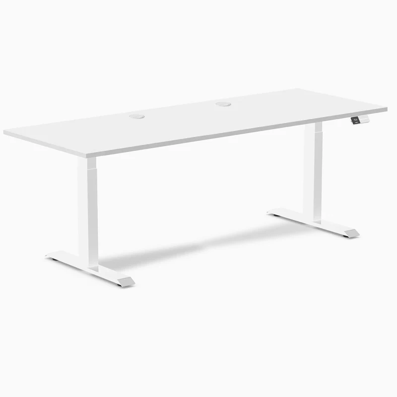 Desky Dual Laminate Sit Stand Desk