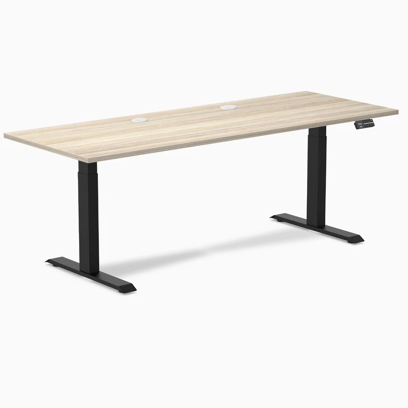 Desky Dual Laminate Sit Stand Desk