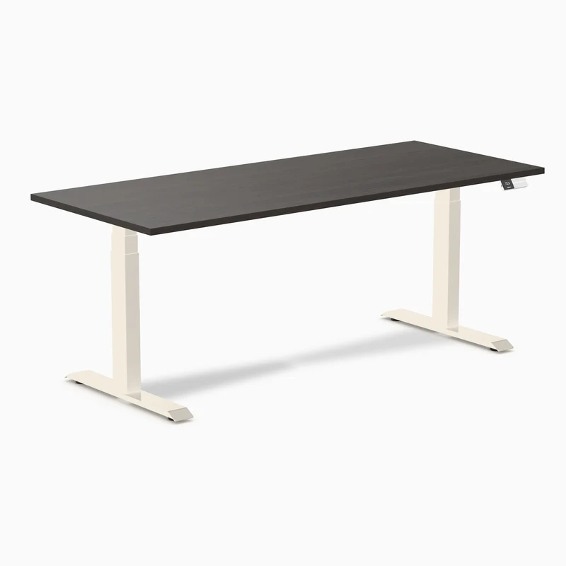 Desky Dual Laminate Sit Stand Desk