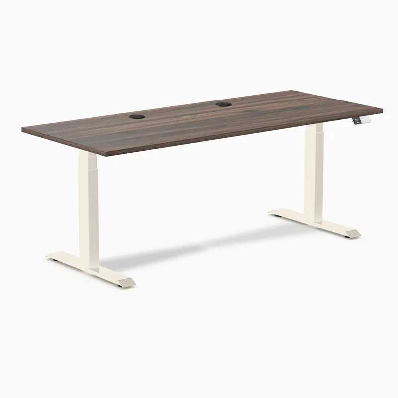 Desky Dual Laminate Sit Stand Desk