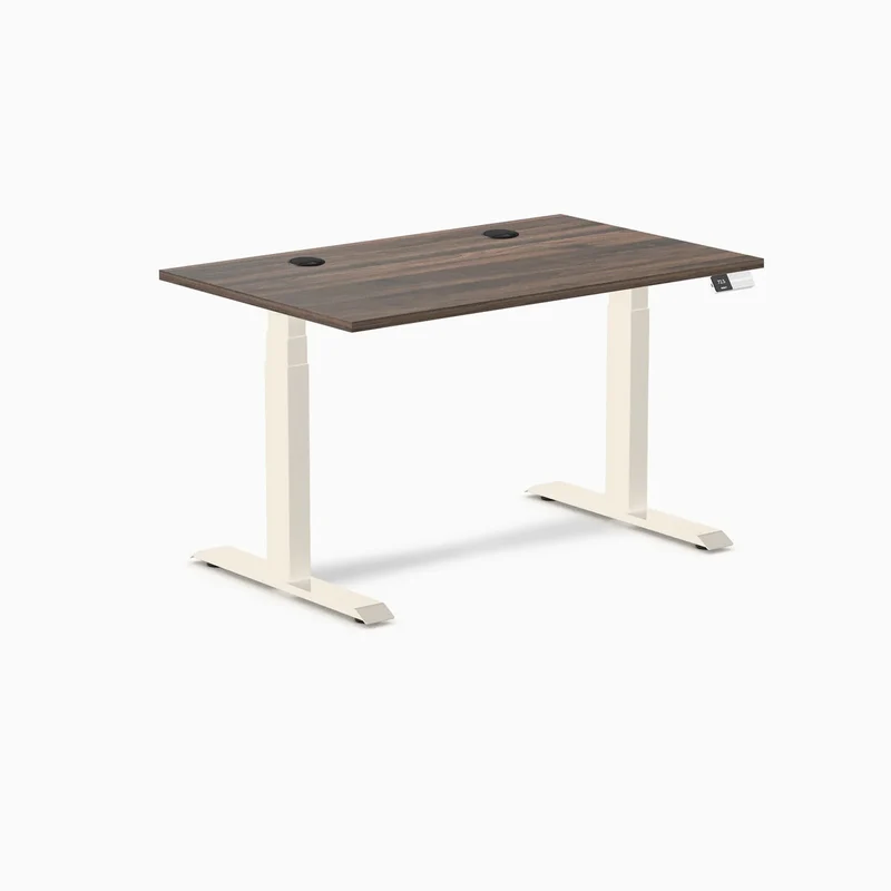 Desky Dual Laminate Sit Stand Desk