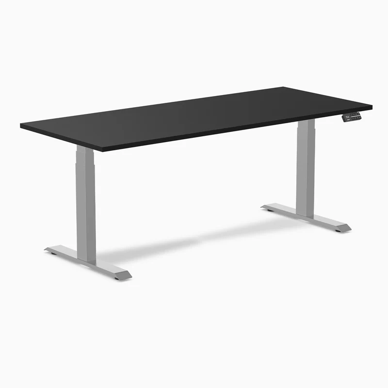 Desky Alpha Dual Sit Stand Gaming Desk