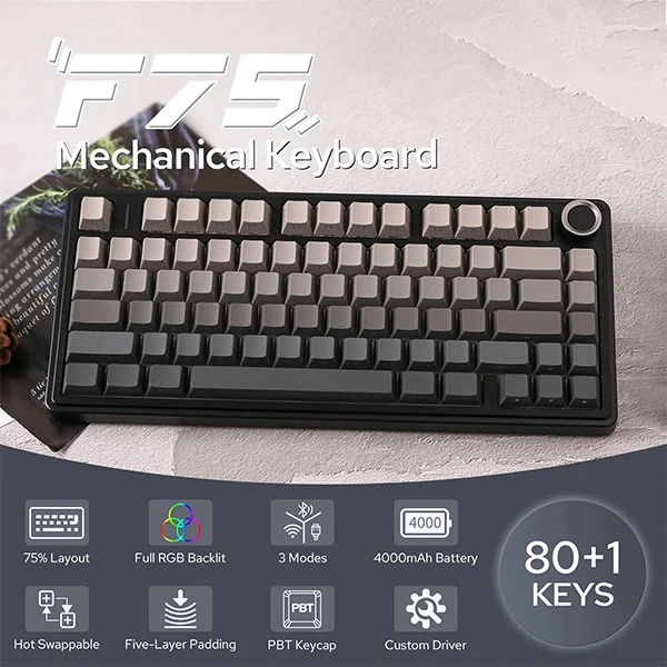 EPOMAKER x AULA F75 (Black Gradient)