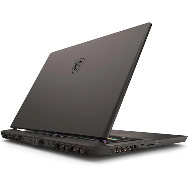 MSI Vector 17 HX A14VIG-616FR Intel Core i9-14900HX/32Go /1To SSD/RTX4090/17" QHD+ 240 Hz