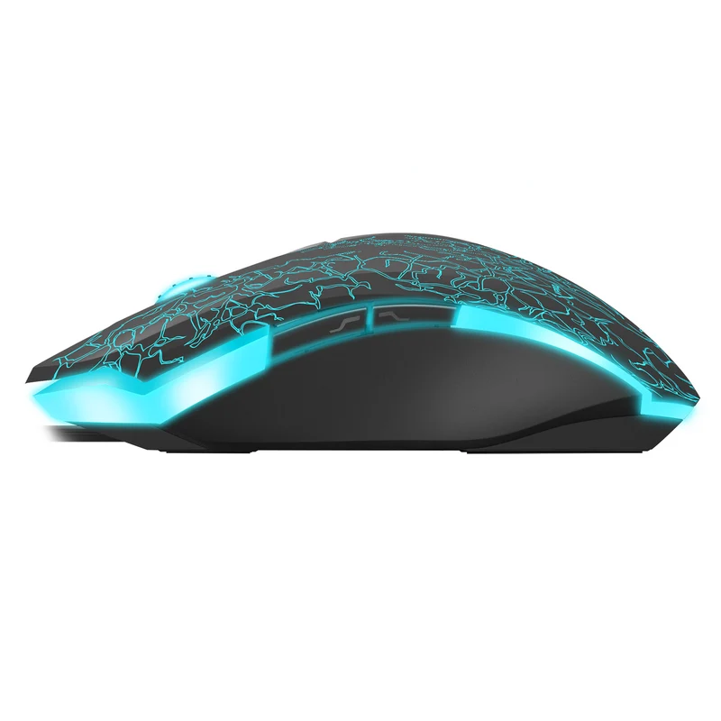 Rapoo V18