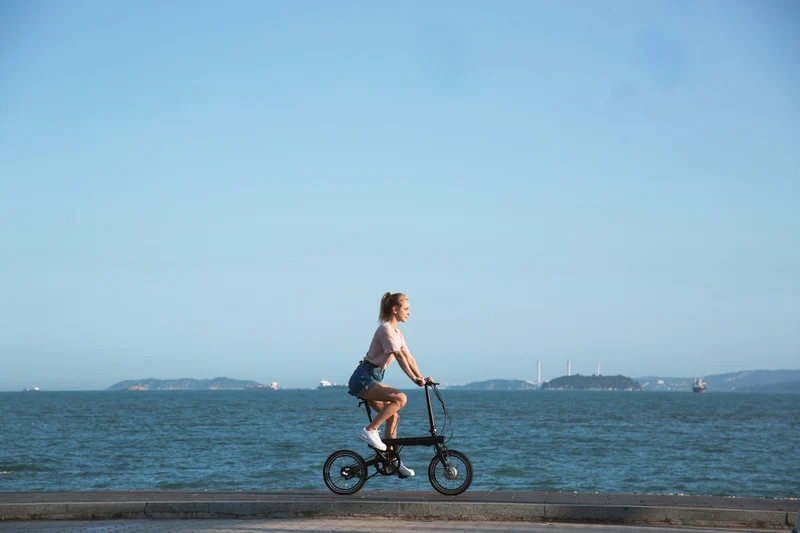 Xiaomi Mi Qicycle Folding Bike