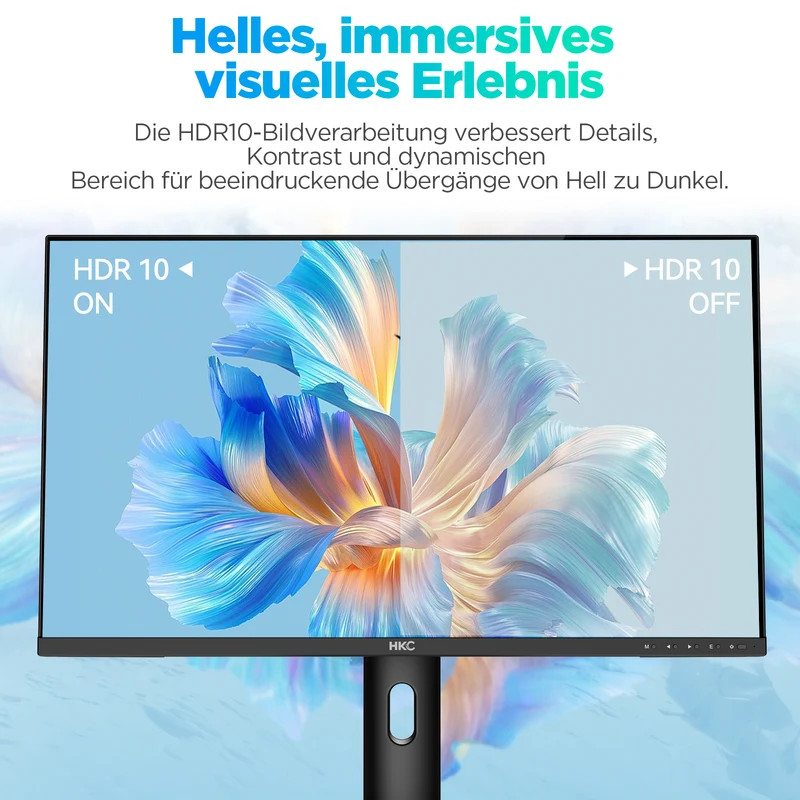 HKC B2412F