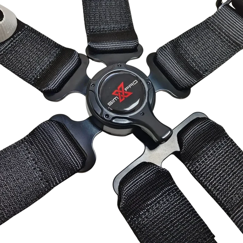 2“ Gurt (4- oder 6 Punkt-Variante)