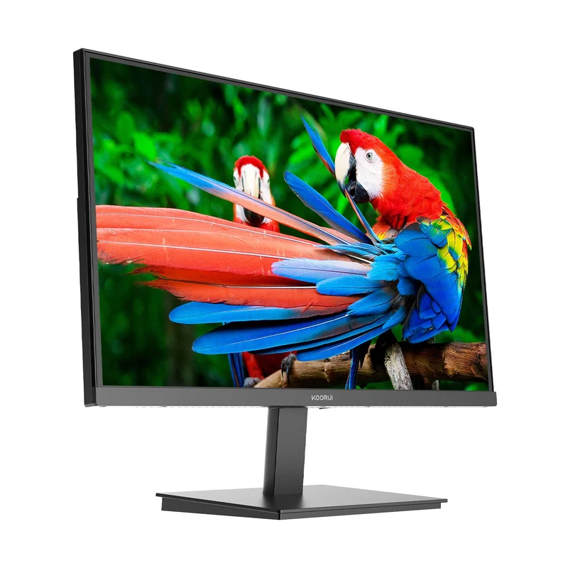 KOORUI E2411H 24-inch FHD 120Hz IPS Professional Monitor