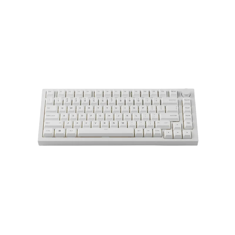 Glorious Keycaps V1 PBT ANSI US - Arctis White