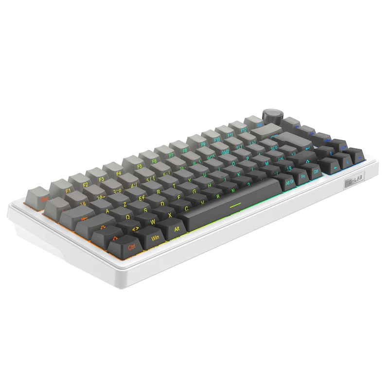 The G-Lab Keyz Elite 300 Wireless ISO FR - Gradient White