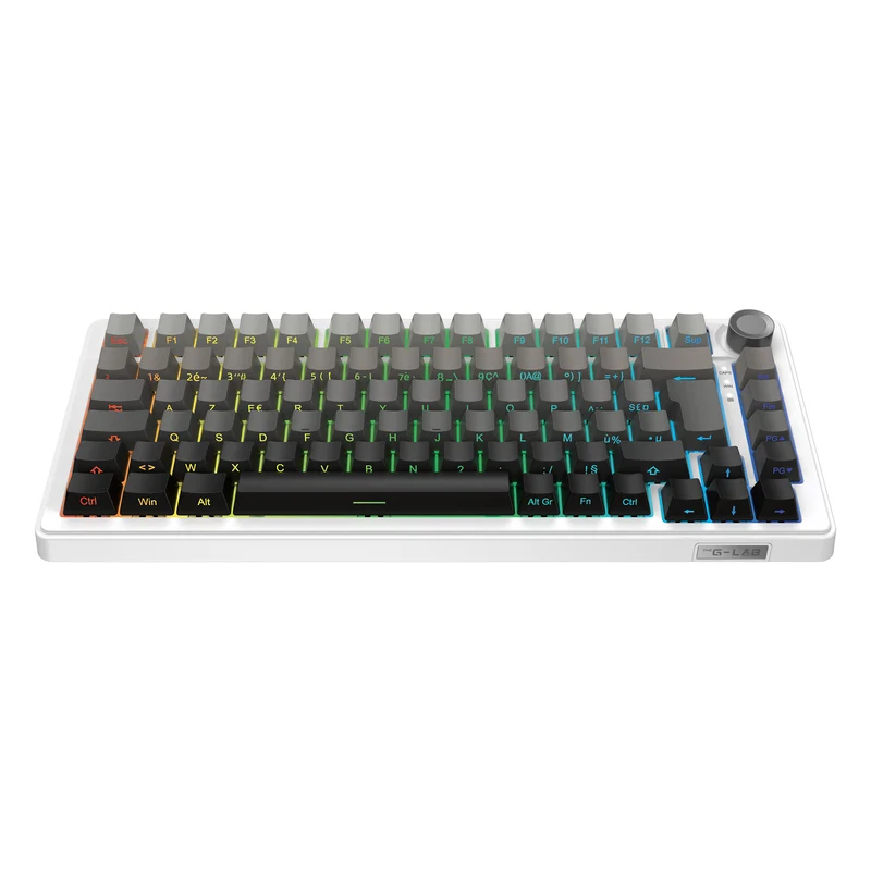 The G-Lab Keyz Elite 300 Wireless ISO FR - Gradient White