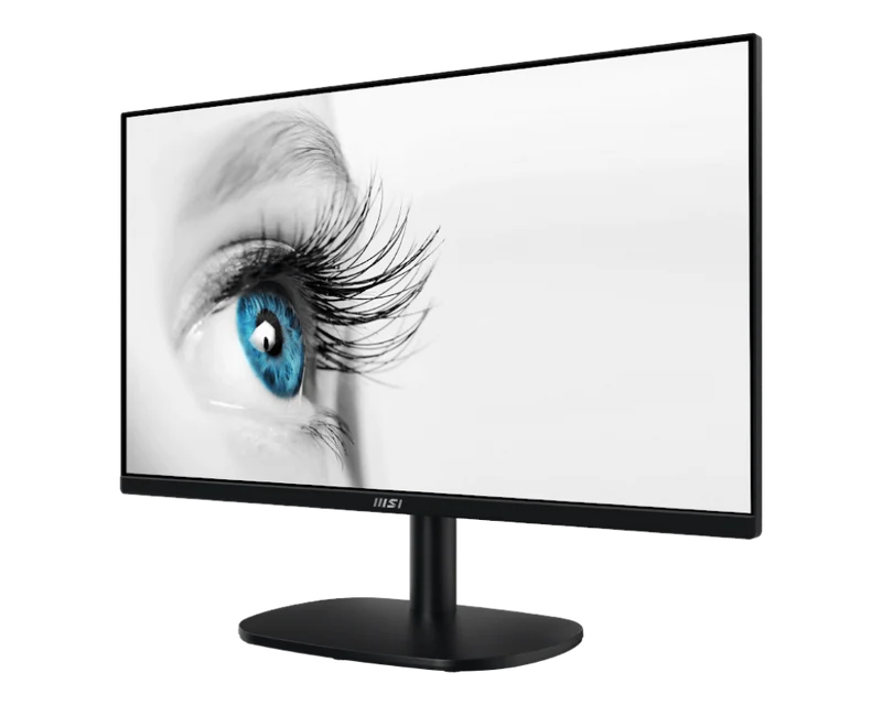 MSI Pro MP245V - 100 Hz - Dalle VA