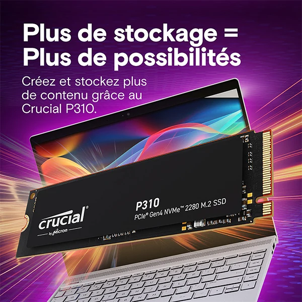 Crucial P310 SSD M.2 Gen4 NVMe 4TB (SANS EMBALLAGE)