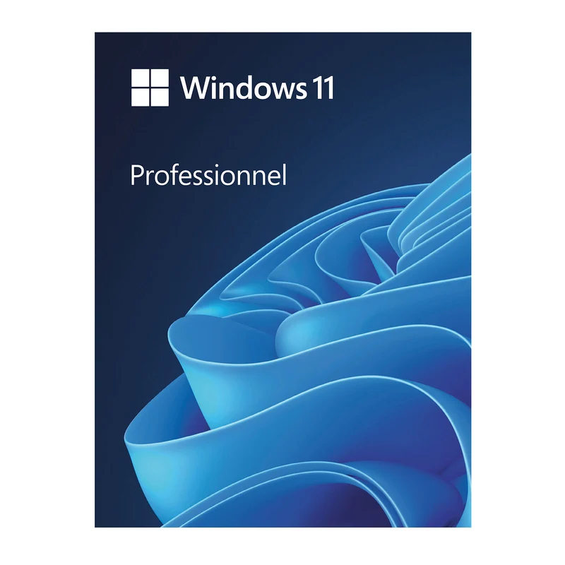 Microsoft Windows 11 Professionnel - Officielle
