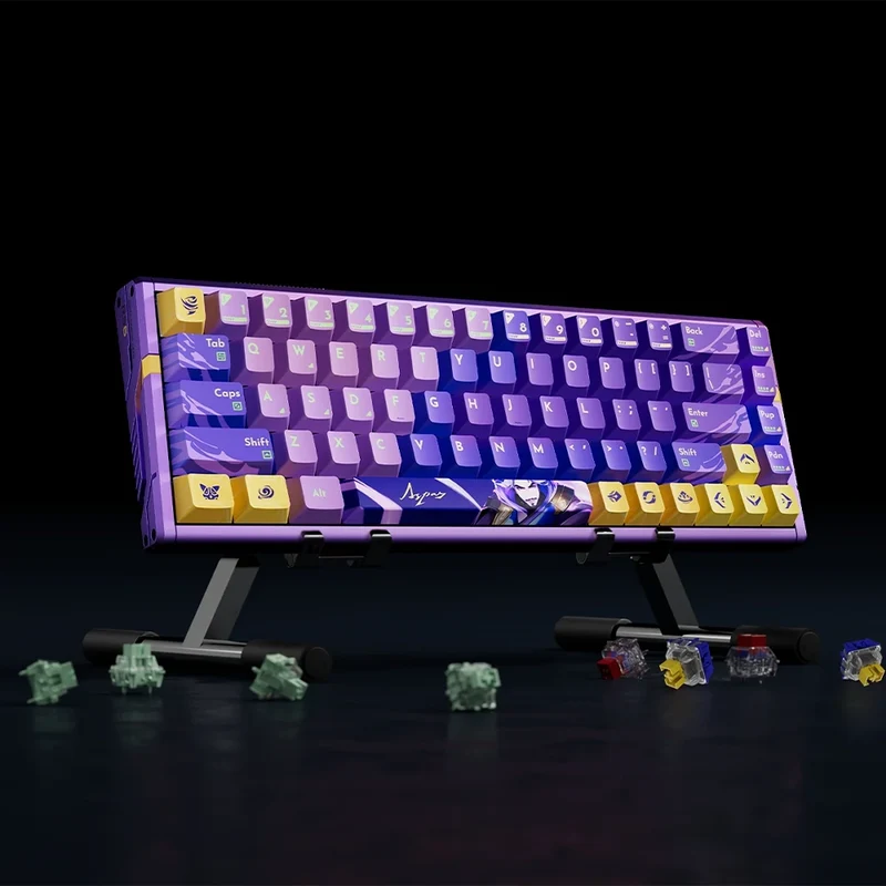 ATK RS6 Ultra HE ANSI US ASPAS Custom [TTC RGB Magneto]